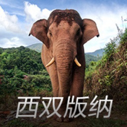 随着国安6